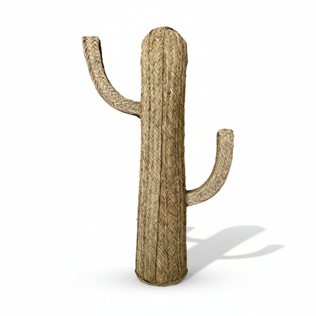 CACTUS DE ESPARTO