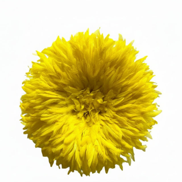 JUJU HAT AMARILLO