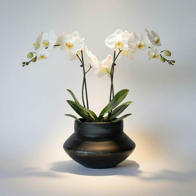 FLORERO DE ARCILLA NEGRO