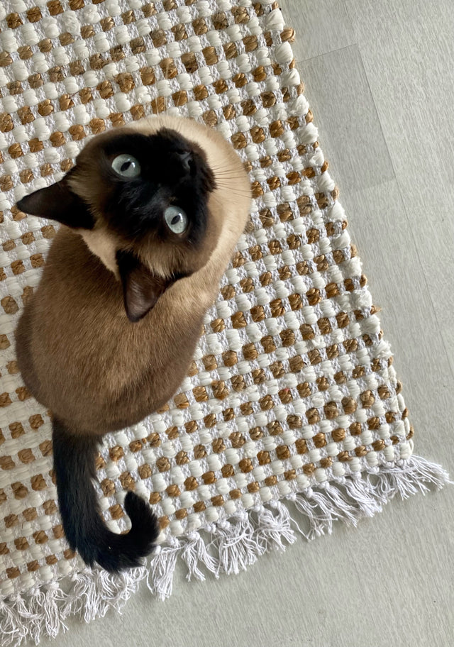 WHITE/URAL PARTY RUG