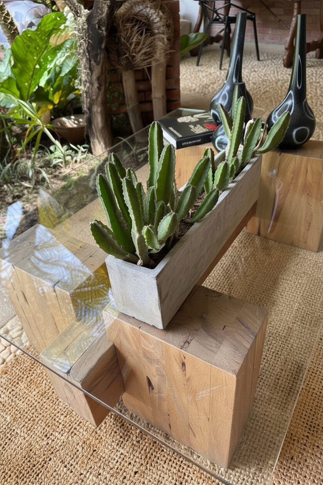 MESA DE CENTRO ECO