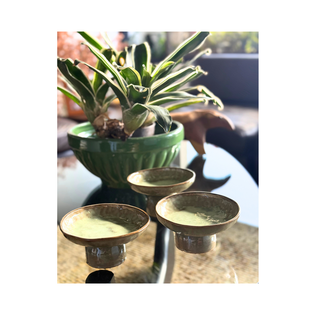 PLATOS DE ARCILLA LE SPOTT