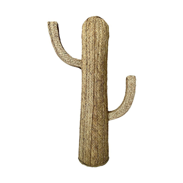 CACTUS DE ESPARTO