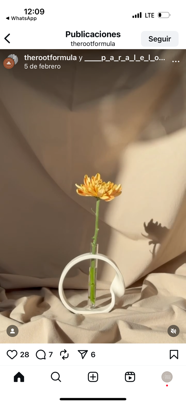 FLORERO LOOP SIMPLE
